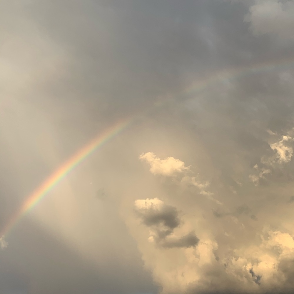 Meet your Posher, Daniela